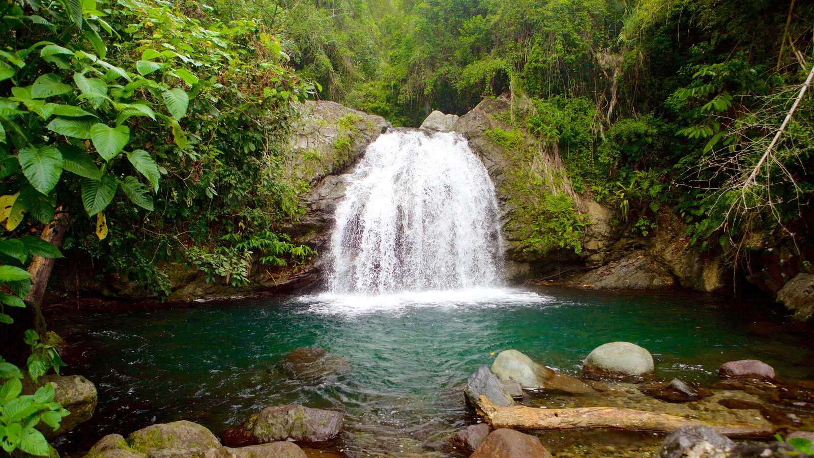 blue mountain jamaica waterfall